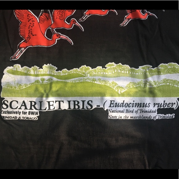 Black Scarlet Ibis graphic t-shirt, size M. - Picture 5 of 8